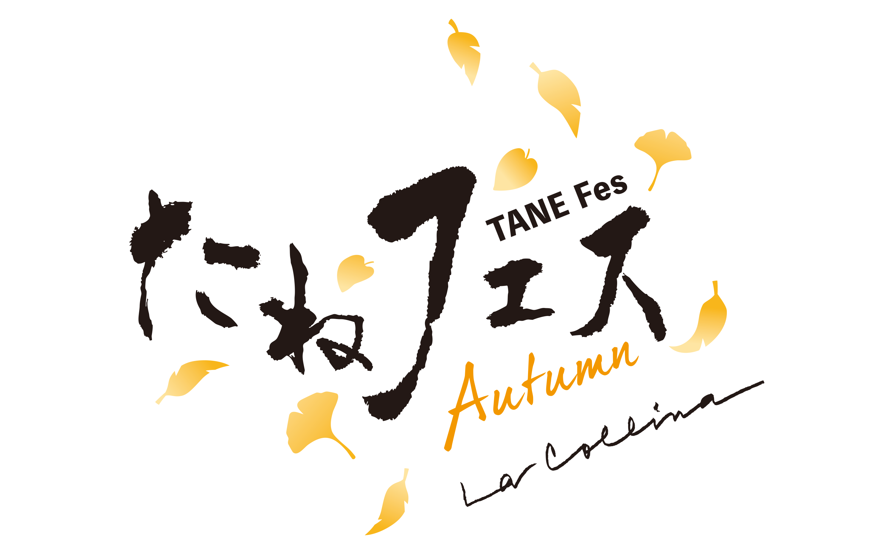 たねフェス