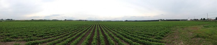 img_07