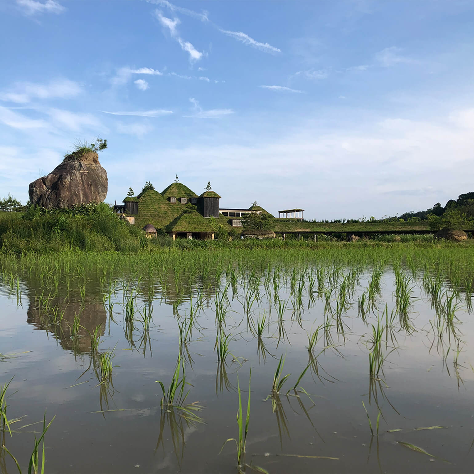 たねやの二十四節気：青田風