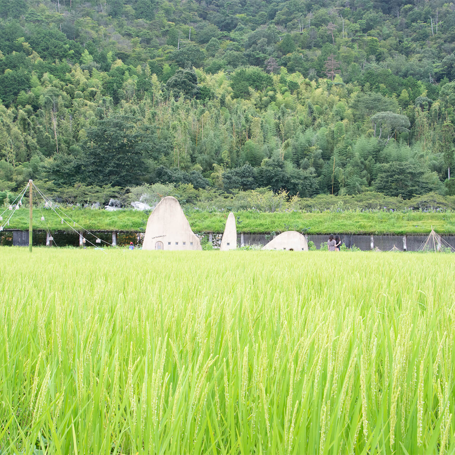 たねやの二十四節気：秋の音