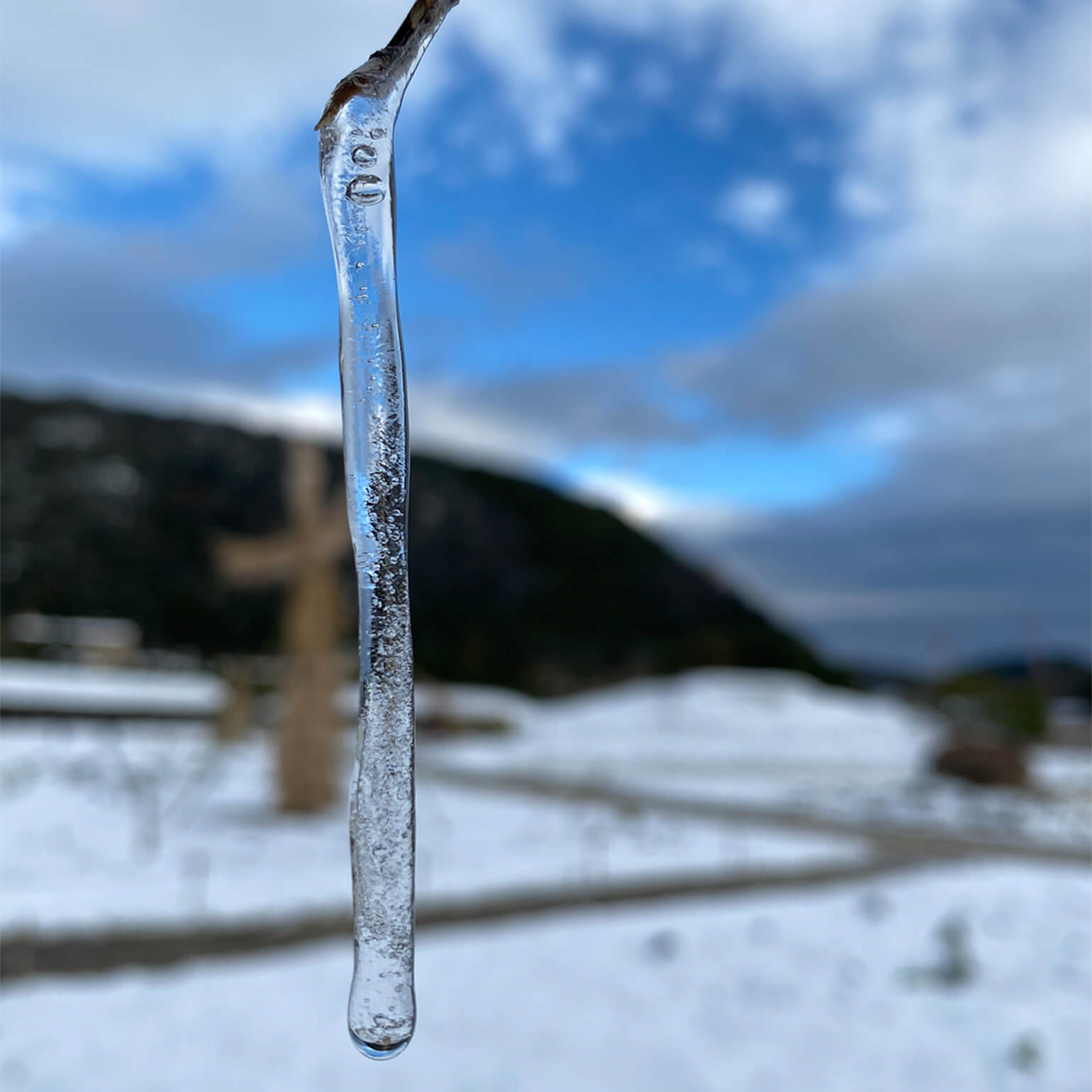 たねやの二十四節気：年巡る