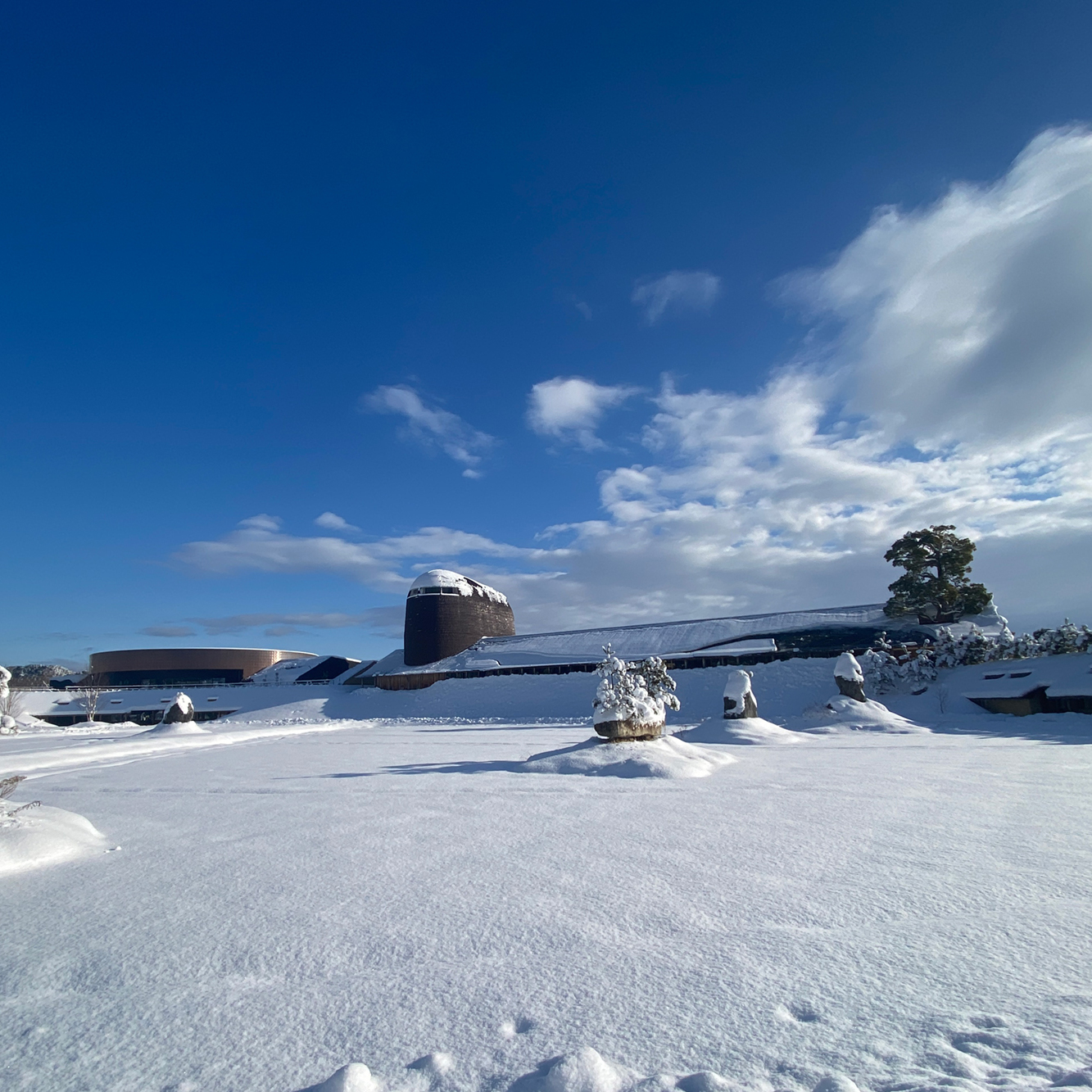 雪景色