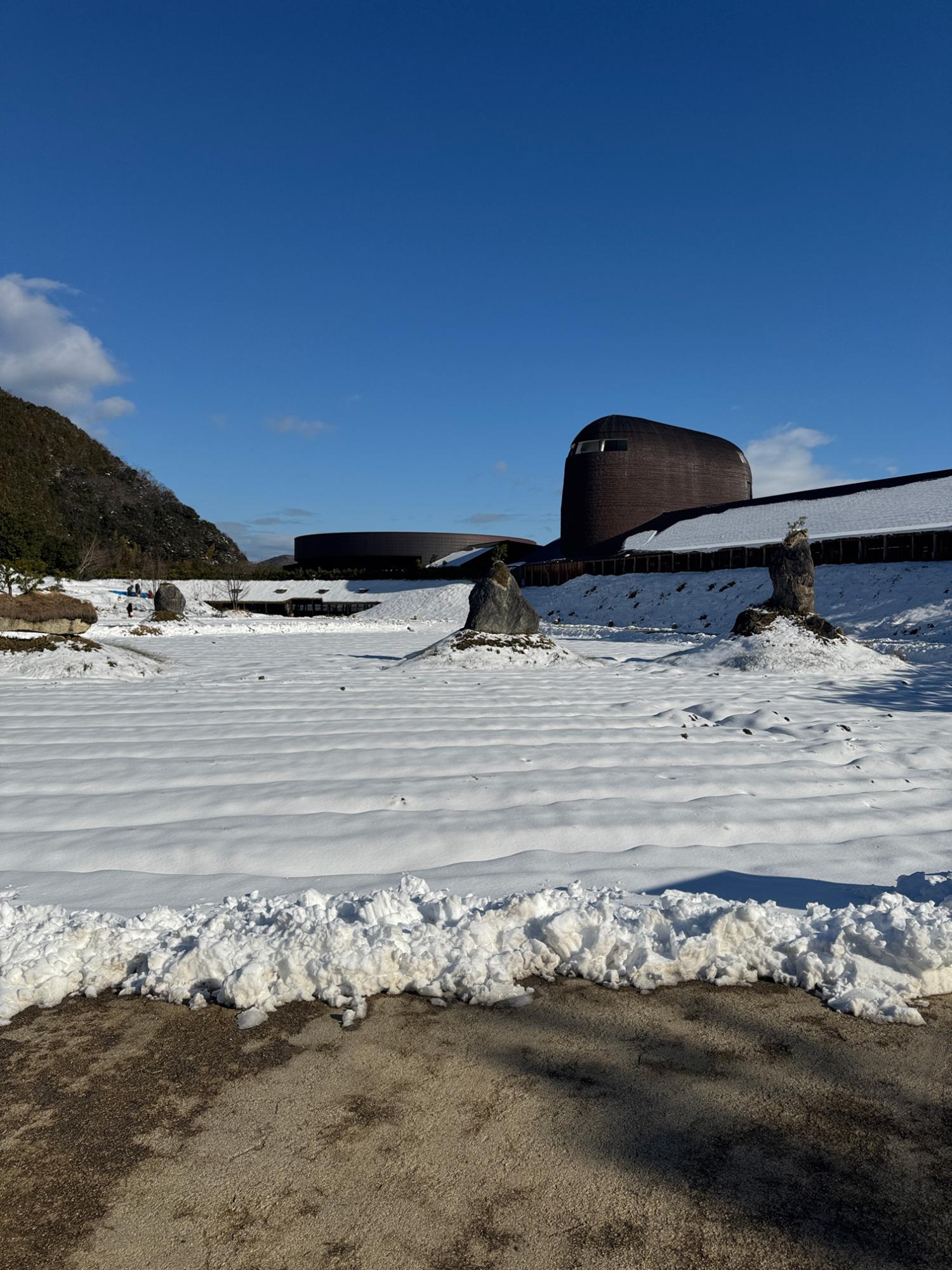 田んぼ周辺