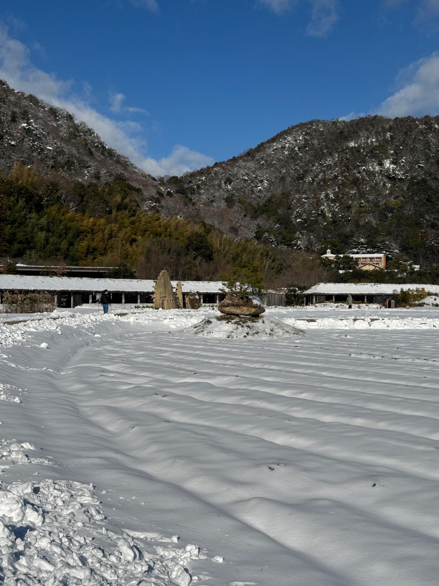 田んぼ周辺