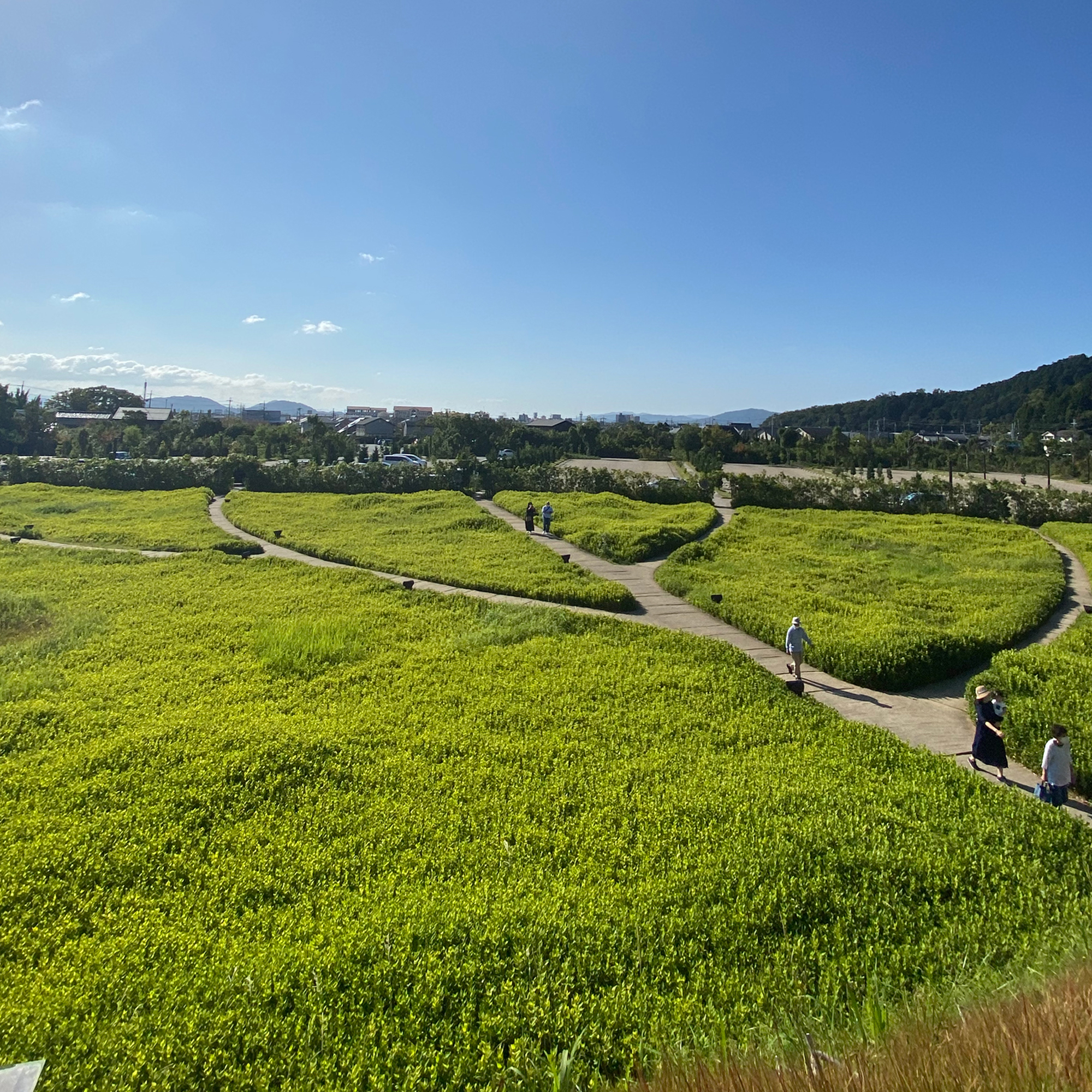 メインショプ前の園路