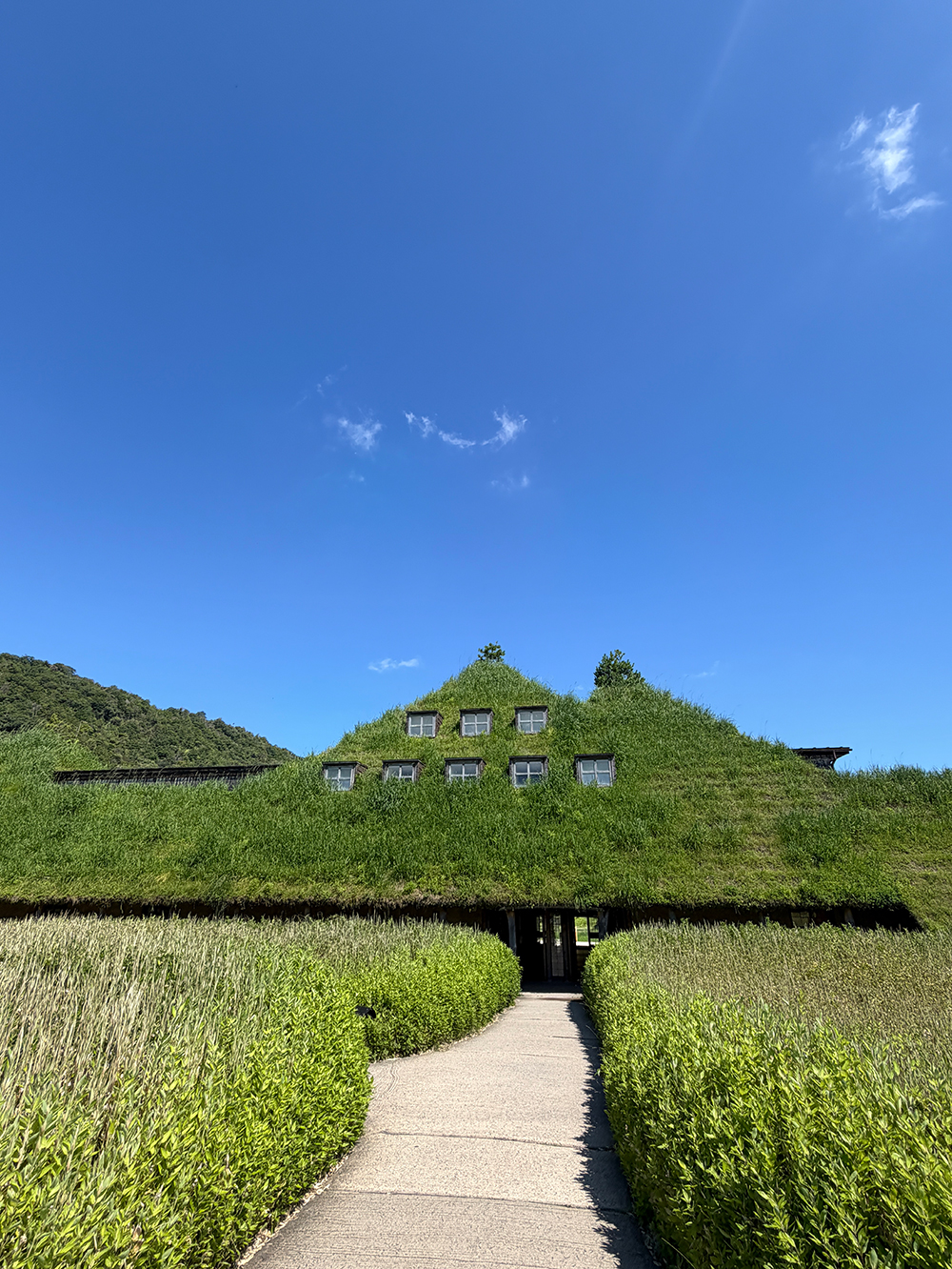 草屋根