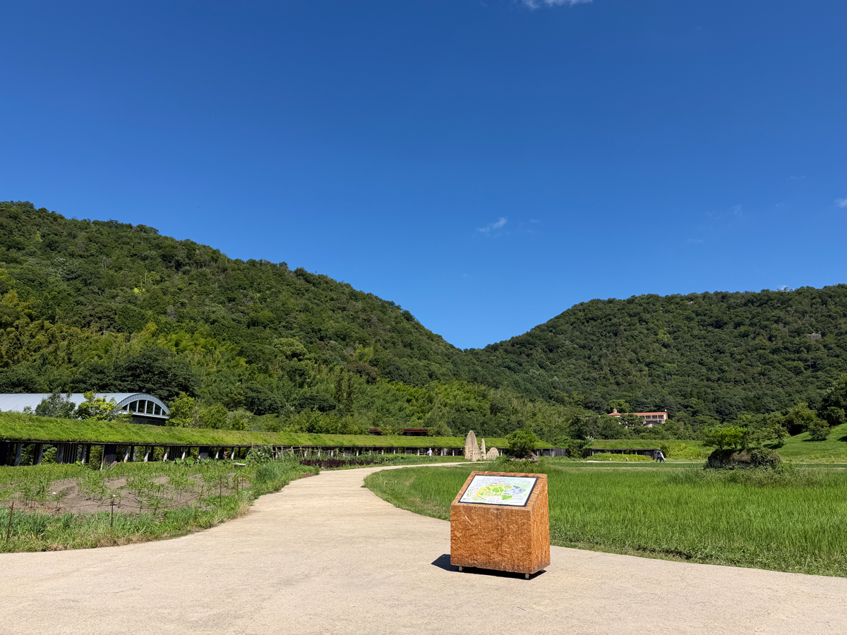 回廊と八幡山