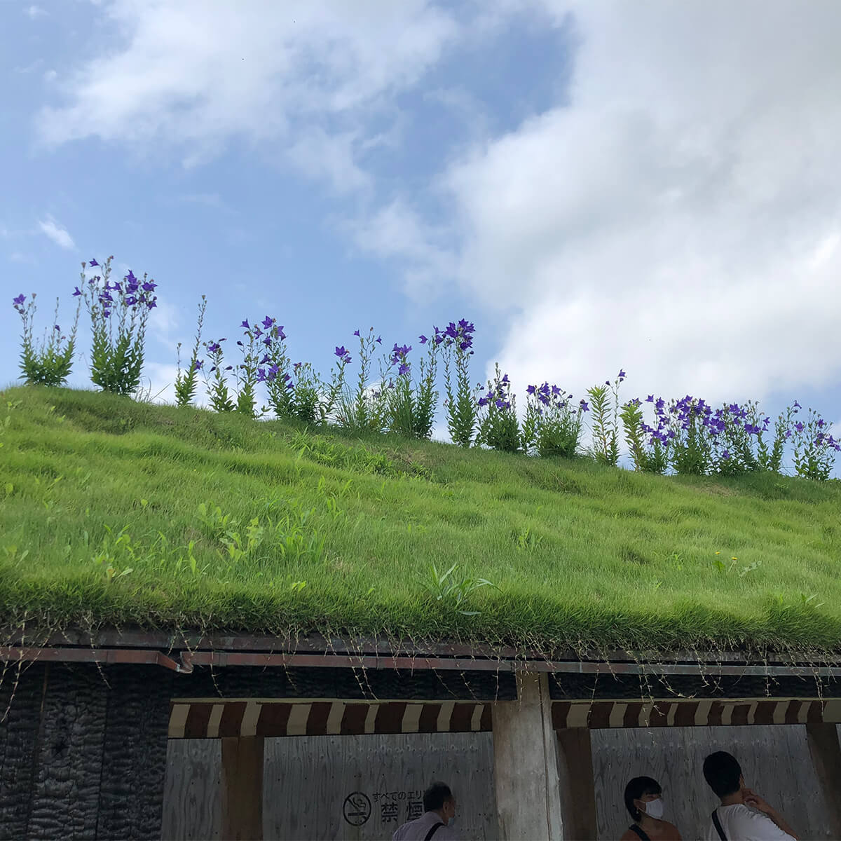 草回廊